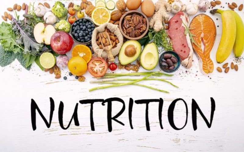 Why is Nutrition Important and how it serves living organisms
